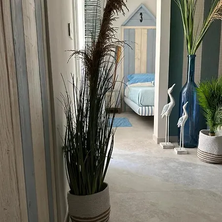 House * كيودجا